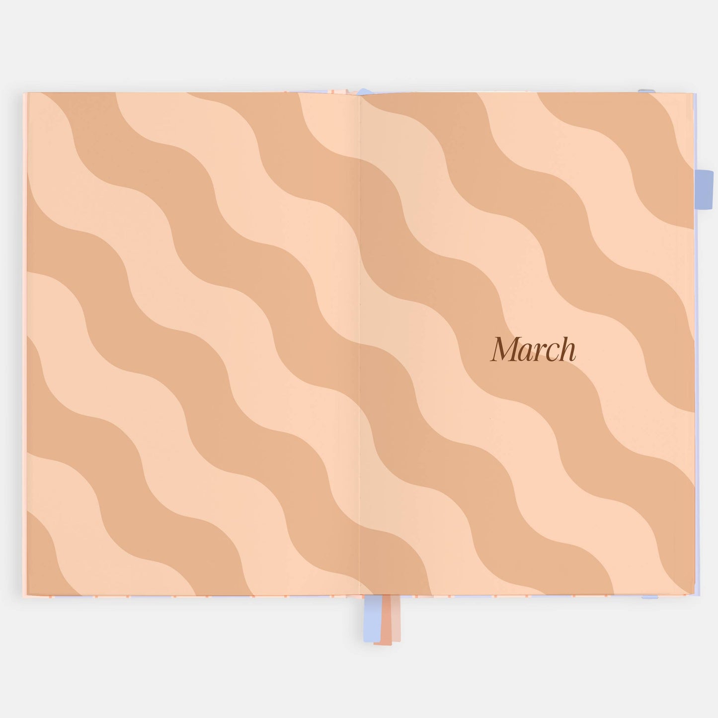 Fox & Fallow - 2026 Powder Stripe A5 Academic Vertical Planner