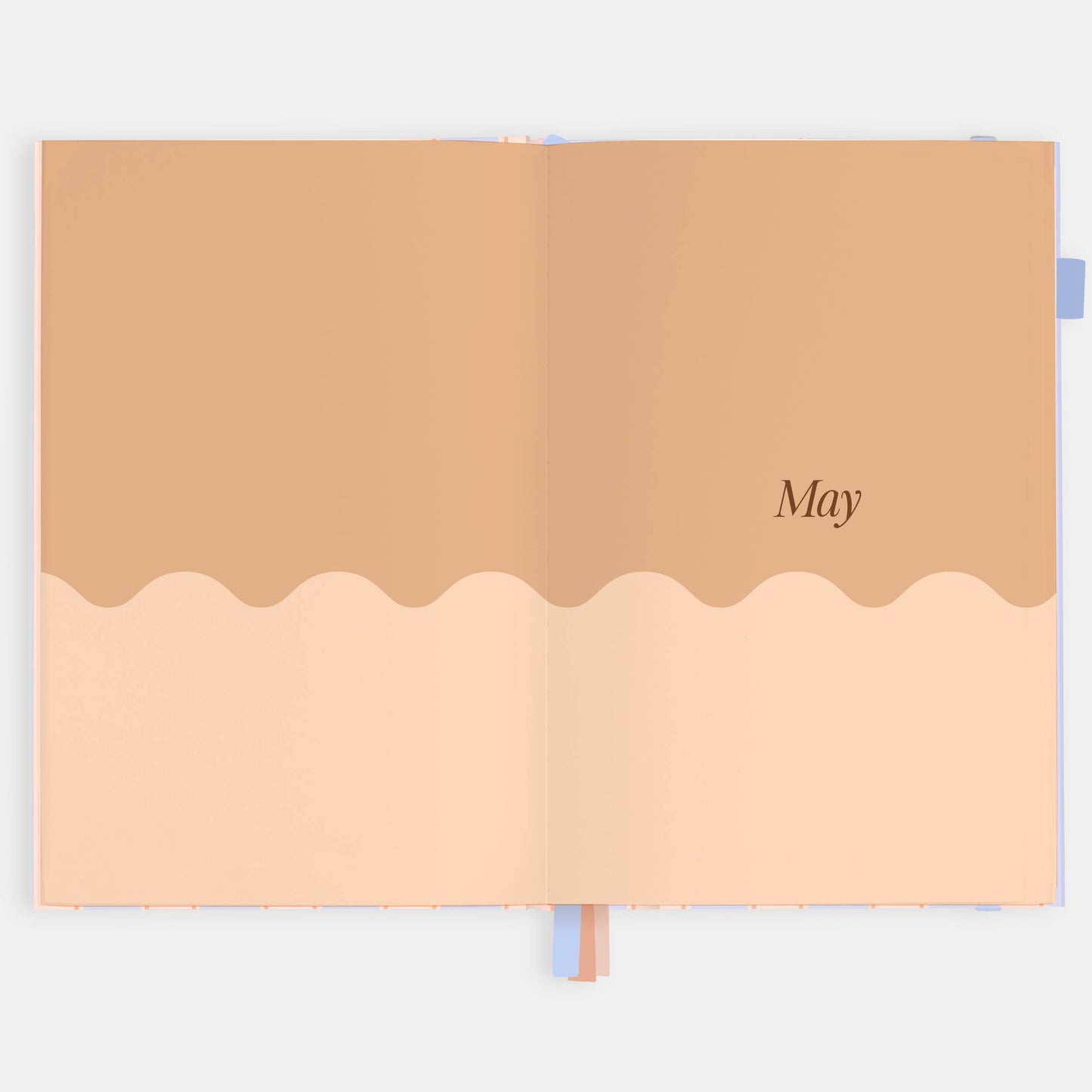 Fox & Fallow - 2026 Powder Stripe A5 Academic Vertical Planner