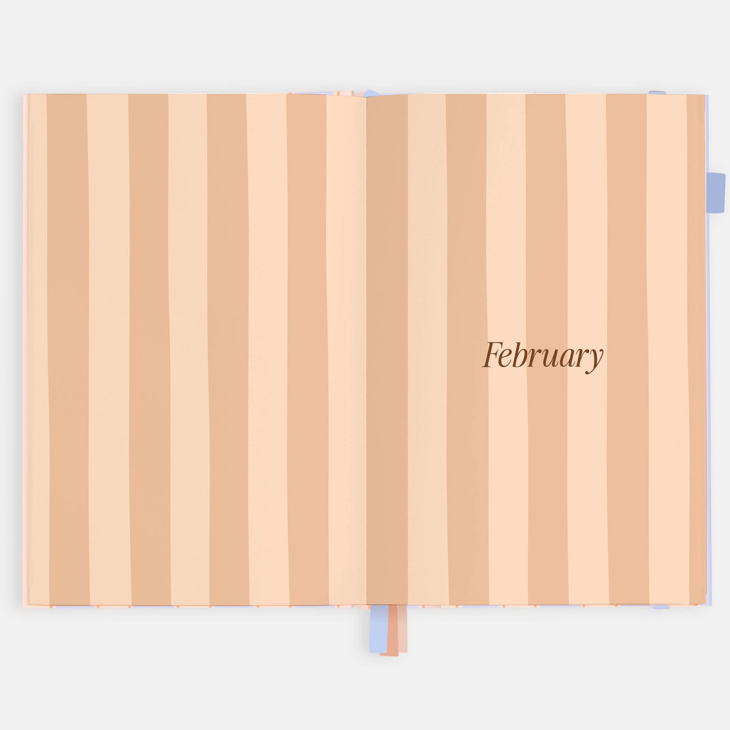 Fox & Fallow - 2026 Powder Stripe A5 Academic Vertical Planner