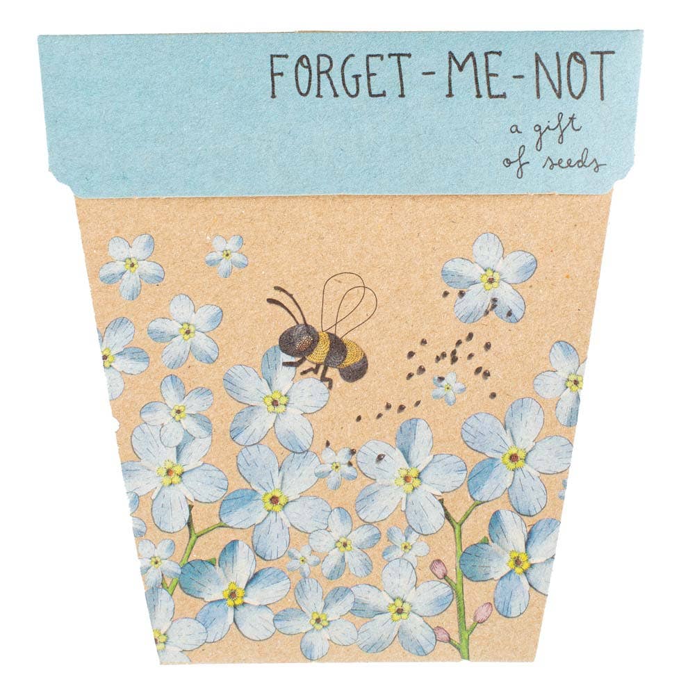 Sow 'n Sow - Forget-Me-Not Gift of Seeds (Australia Only)
