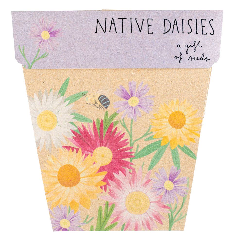 Sow 'n Sow - Native Daisies Gift of Seeds (Australia Only)