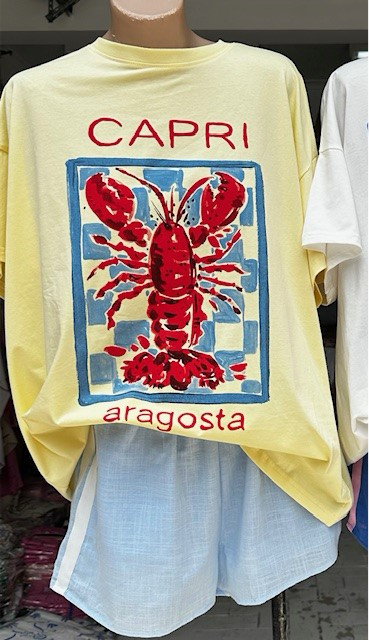 Ivy Tee Shirt & Shorts Set - Capri Aragosta Lobster | By Frankie