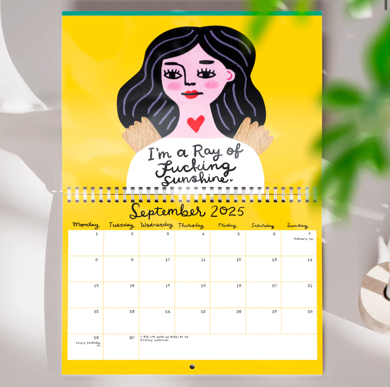 Sweary Affirmations 2025 Calendar |Disrupted Industries