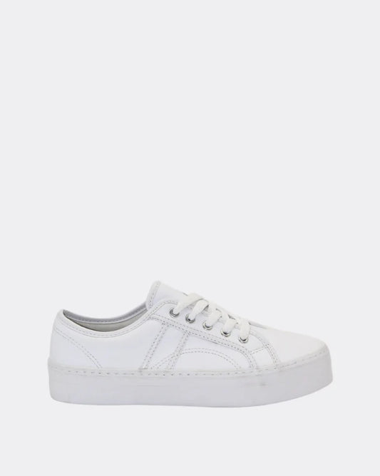 Cass Leather Lace Up Sneaker Shows - White | Human