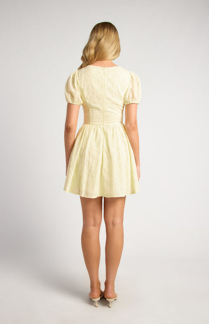 Kaylee Embroidered Cotton V Waist Panel Mini Dress - Lemon Yellow