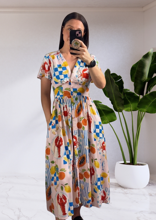 Zoe Button Up Midi Dress - Pink Picnic