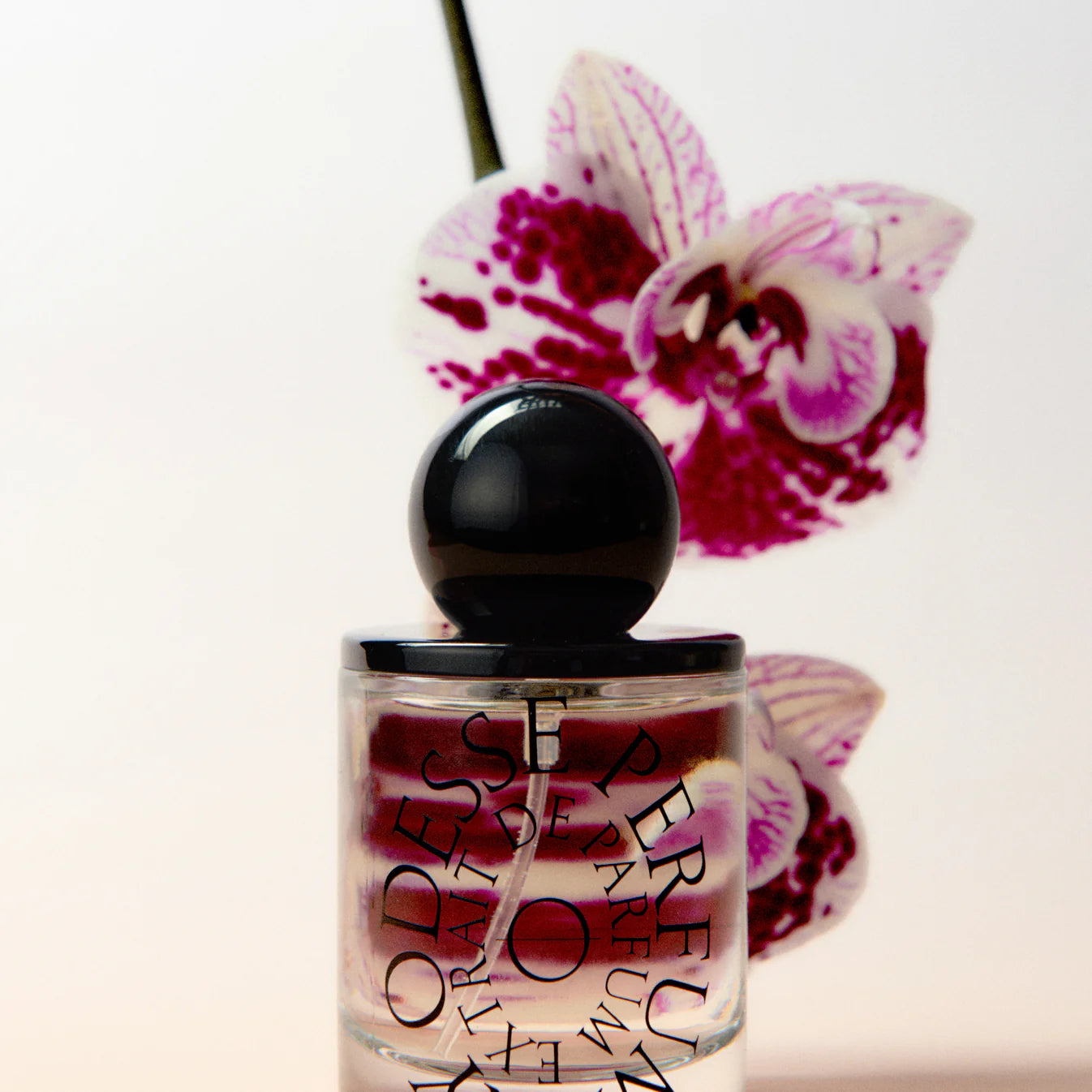 Extrait De Parfum Perfume Spray 50ml | ODESSE
