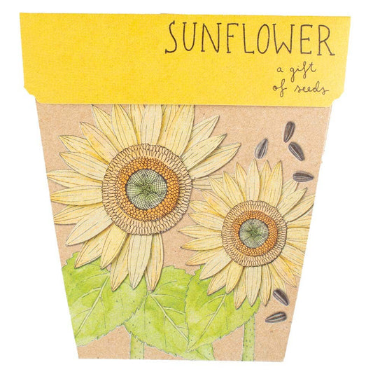 Sow 'n Sow - Sunflower Gift of Seeds (Australia Only)