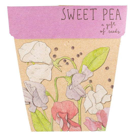 Sow 'n Sow - Sweet Pea Gift of Seeds (Australia Only)