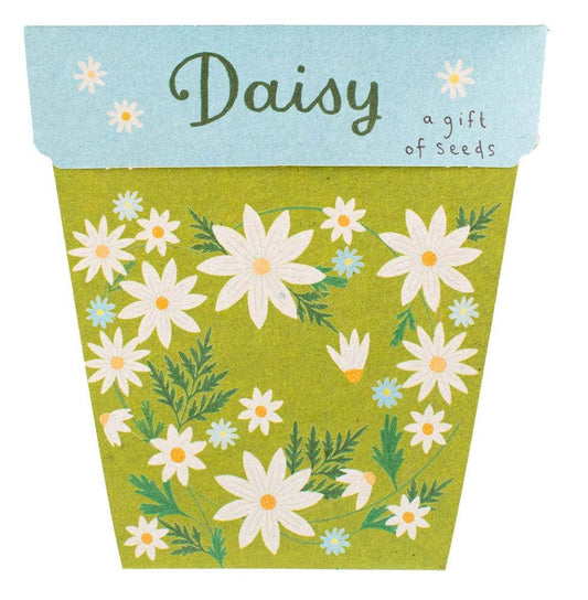 Sow 'n Sow - Daisy Gift of Seeds (Australia Only)