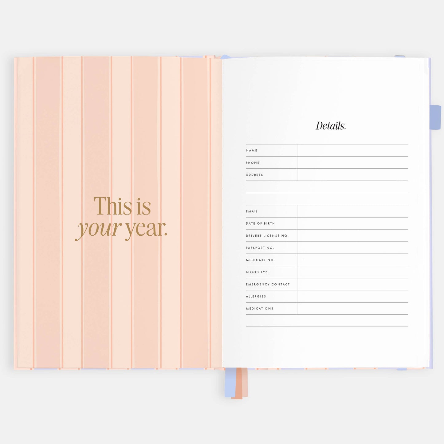 Fox & Fallow - 2026 Powder Stripe A5 Academic Vertical Planner